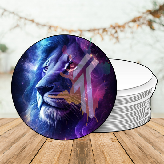 Leo Galaxy Coaster